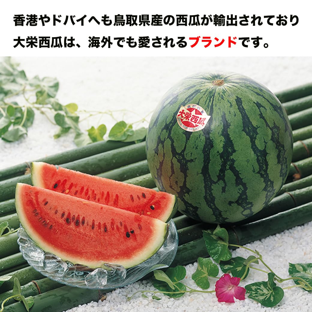 Amazon.co.jp: すいか スイカ 訳あり 鳥取県産 大栄西瓜 5Lサイズ 10kg